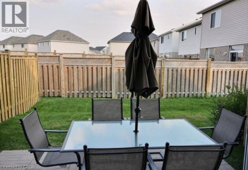 Fenced backyard with mature lawn and wood-finish privacy fencing - 507 Beaumont Crescent, Kitchener, ON 