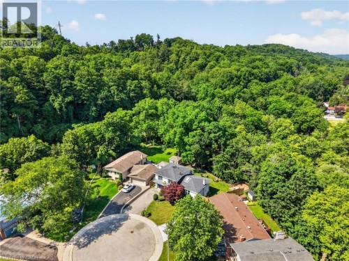 Aerial depiction of a residential area with extensive tree coverage - 9 Leslie Drive, Hamilton, ON 
