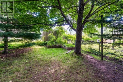 3 Rexdale Avenue, Fleming Heights, NS 