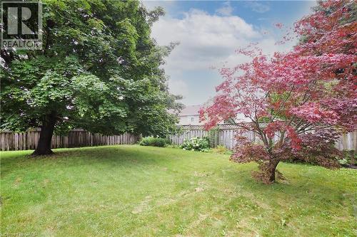 Expansive grassy yard featuring mature trees, a red-leafed tree, and wood fencing - 219 Foxhunt Road, Waterloo, ON 