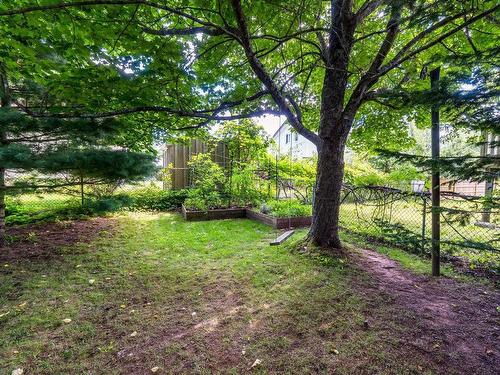 3 Rexdale Avenue, Fleming Heights, NS 