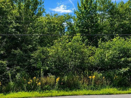Camperdown School Road, Middlewood, NS 