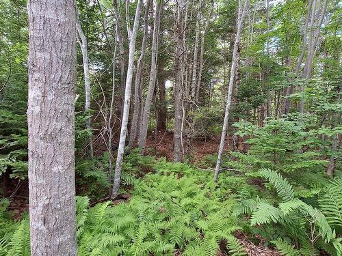 Camperdown School Road, Middlewood, NS 