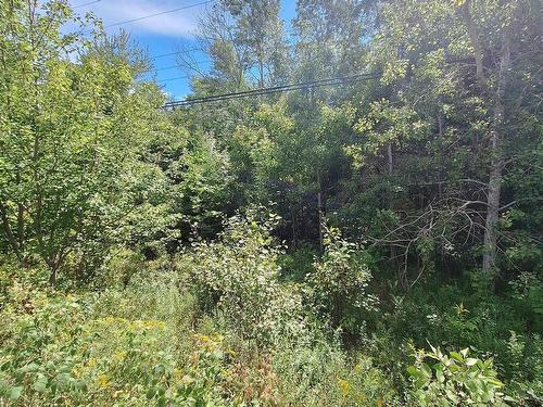 Camperdown School Road, Middlewood, NS 