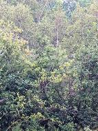 Lot Saint-Philippe Saint-Philippe, NB E1H 1S1