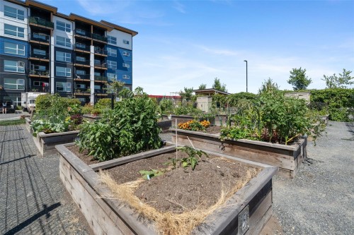 #302-2469 Gateway Rd, Langford, BC 