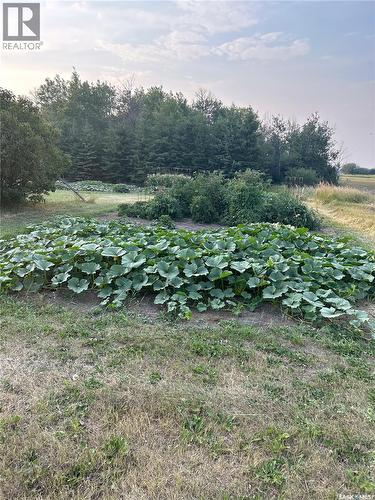 Turtleford Acreage., Mervin Rm No.499, SK 
