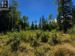 LOT 5 AIRPORT ROAD  Mcbride, BC V0J 2E0
