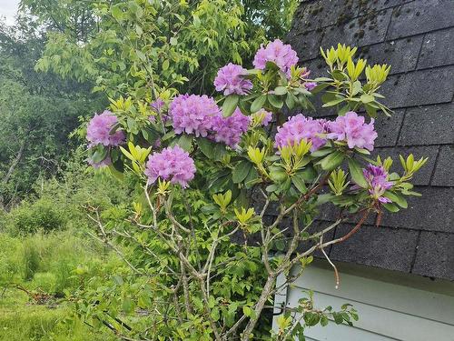 68 Hillcrest Avenue, Bible Hill, NS 