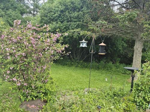 68 Hillcrest Avenue, Bible Hill, NS 