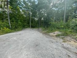 7859 PINERIDGE ROAD Ramara, ON L0K 2B0