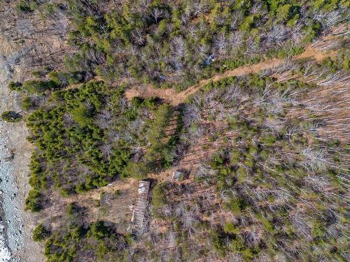42765 Cabot Trail, Birch Plain, NS 