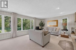 Living room overlooking backyard - 