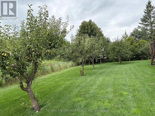 4 BLAKE STREET , East Gwillimbury, Ontario L0E 1R0 4