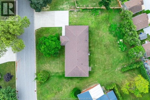 3 Stewart, Leamington, ON 