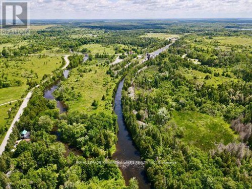 81 MCGUIRE BEACH ROAD  Kawartha Lakes (Carden), ON K0M 2B0