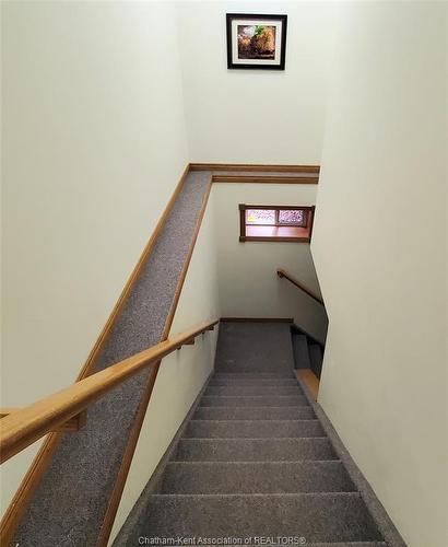 8560 Talbot Trail, Cedar Springs, ON 