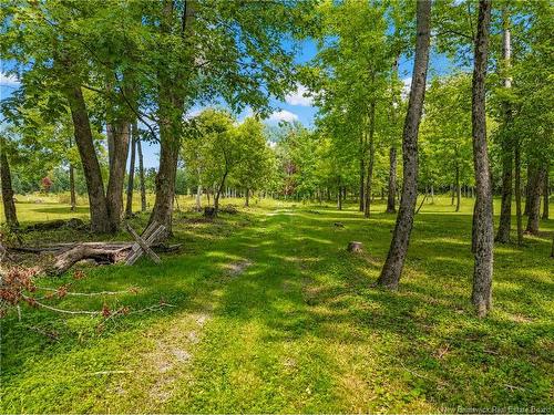 14 Carlisle Rd, Douglas, NB 