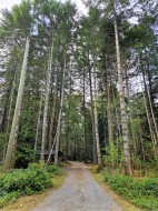 323 Davis Rd Gabriola Island, BC V0R 1X1
