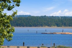 #304-104 Esplanade St Nanaimo, BC V9R 0G6