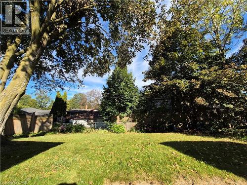 Expansive lawn area with mature trees and perimeter fencing - 11 Duncairn Avenue, Kitchener, ON 