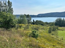 163 North Shore Highway  Meadows, NL A2H 6B9