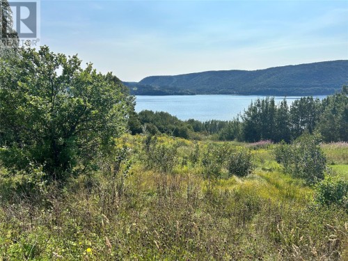 163 North Shore Highway, Meadows, NL 
