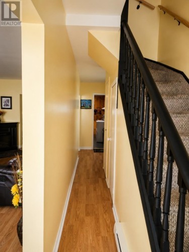 Hallway/ Front Porch Area - 7 Cavell Avenue, St. John'S, NL 