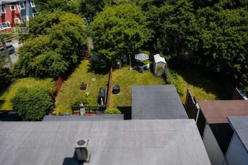 Drone shot of garden - 7 Cavell Avenue, St. John'S, NL 