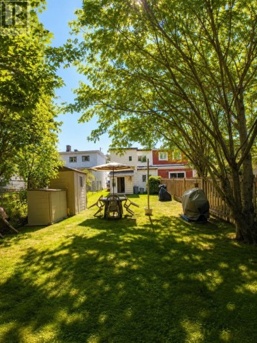 Backyard - 7 Cavell Avenue, St. John'S, NL 