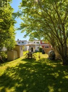 Backyard - 