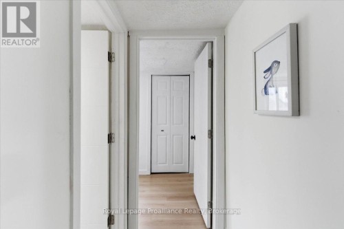 19 Boswell Street, Belleville (Belleville Ward), ON 