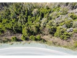 25 Witch Hazel Drive  Portugal Cove-St. Phillip's, NL A1M 3R5