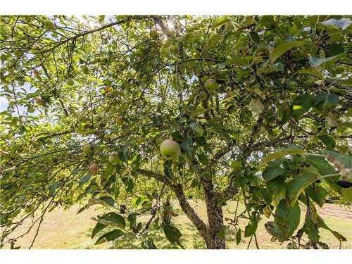 40 Hannan Rd, Scotch Ridge, NB 
