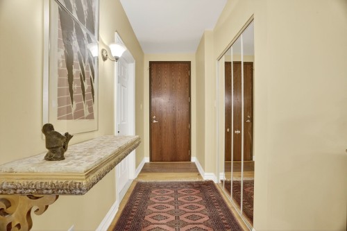 Hall d'entrée/Vestibule - 201-828 Av. Querbes, Montréal (Outremont), QC 