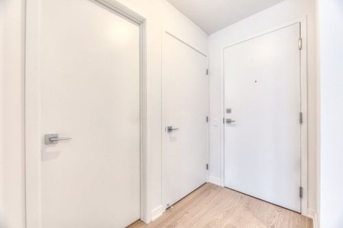 Hall d'entrée/Vestibule - 333-1485 Rue Des Bassins, Montréal (Le Sud-Ouest), QC 