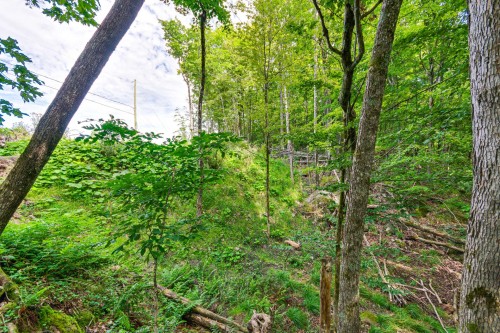 Terre/Terrain - 8 Rue Tex-Lecor, Cantley, QC 