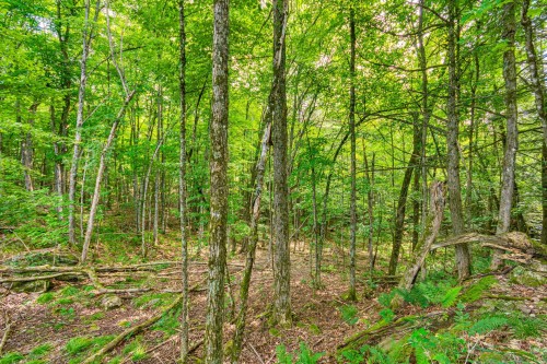 Terre/Terrain - 8 Rue Tex-Lecor, Cantley, QC 