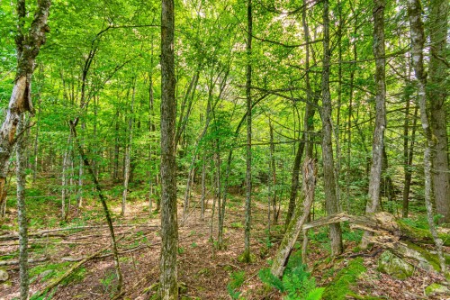 Terre/Terrain - 8 Rue Tex-Lecor, Cantley, QC 