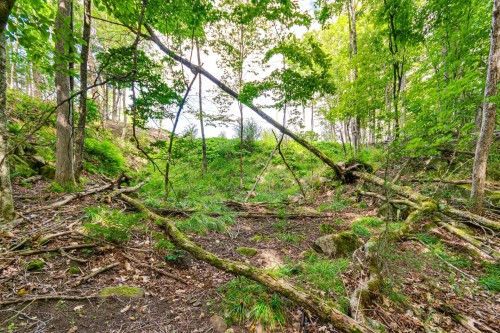 Terre/Terrain - 8 Rue Tex-Lecor, Cantley, QC 