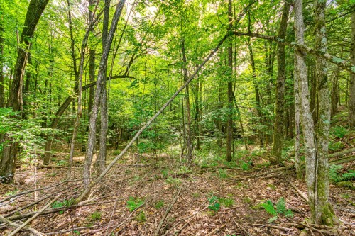 Terre/Terrain - 8 Rue Tex-Lecor, Cantley, QC 