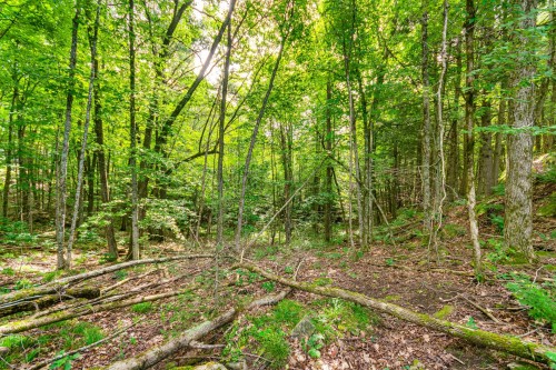 Terre/Terrain - 8 Rue Tex-Lecor, Cantley, QC 