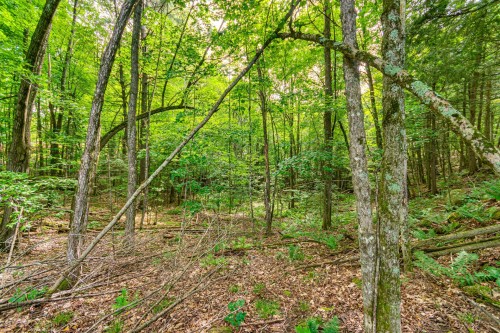 Terre/Terrain - 8 Rue Tex-Lecor, Cantley, QC 