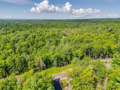 Photo aérienne - 8 Rue Tex-Lecor, Cantley, QC 