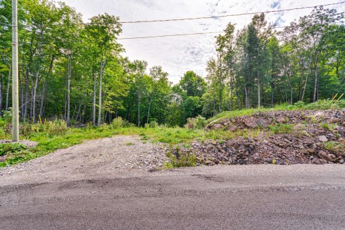 Terre/Terrain - 8 Rue Tex-Lecor, Cantley, QC 