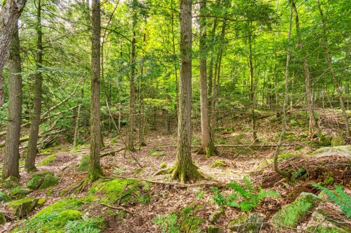 Terre/Terrain - 8 Rue Tex-Lecor, Cantley, QC 