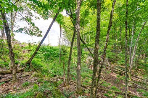 Terre/Terrain - 8 Rue Tex-Lecor, Cantley, QC 