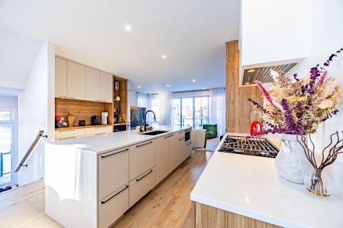 Kitchen - 111 Av. Des Chênes, Candiac, QC 