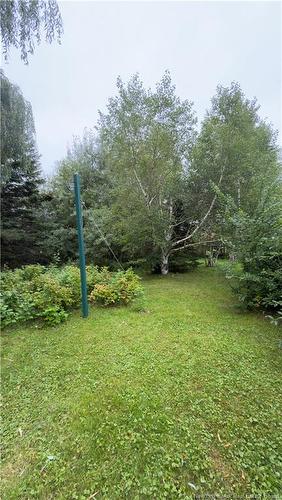 501 Route 530, Grande-Digue, NB 