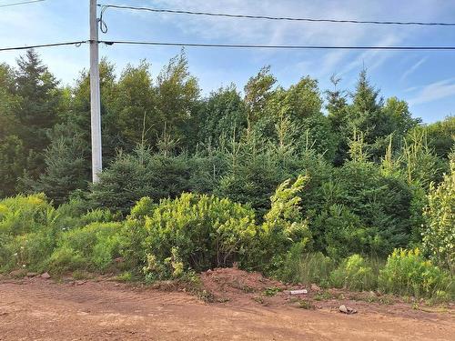 Lot 4 Blue Heron Crescent, North Rustico, PE 